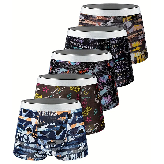 5Pcs Ice Silk Men's Stretch Boxer Briefs