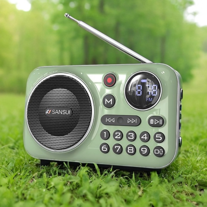 Multifunctional portable Bluetooth radio with recording function