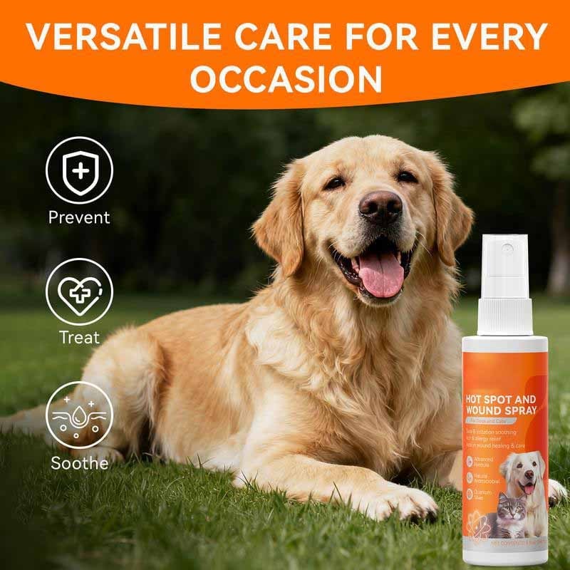 Hot Selling! Anti-itch Spray - 49% Off - Veterinarian Recommended